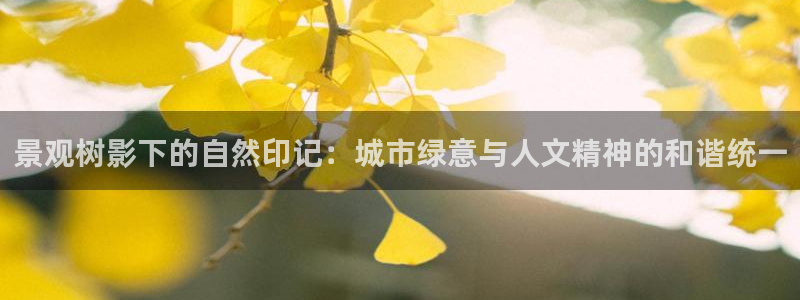 新宝gg招商-299136