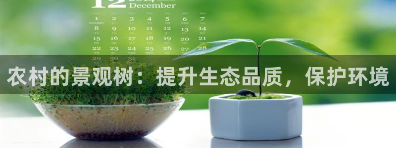 新宝gg申请账号