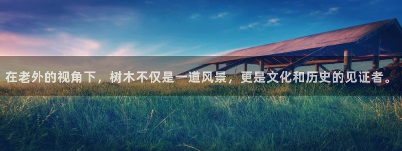 新宝gg干嘛：在老外的视角下，树木不仅是一道风景，更是文化和历史的见证者。