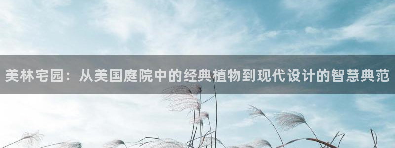 新宝gg和新宝123