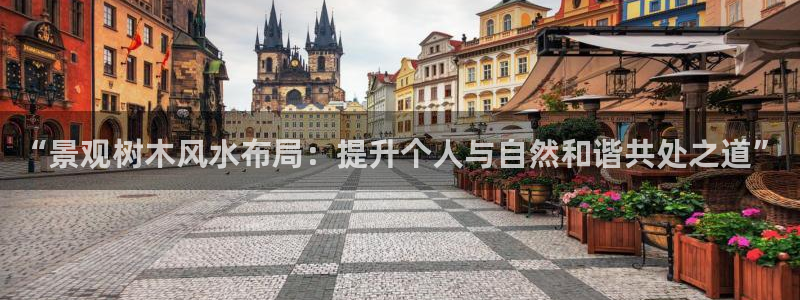 新宝gg娱乐-上鼎狐网