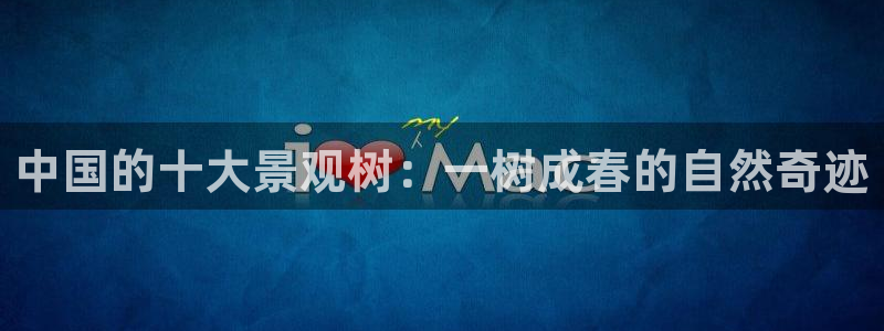 新宝gg公司