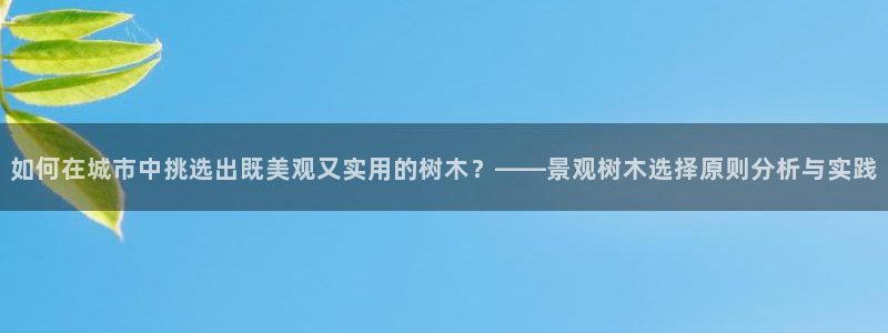 新宝 -gg登录：如何在城市中挑选出既美观又实用的树木？——景观树木选择原则分析与实践
