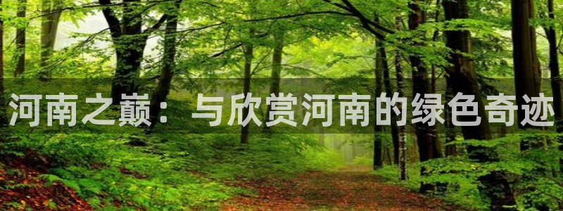 新宝gg1956登陆：河南之巅：与欣赏河南的绿色奇迹