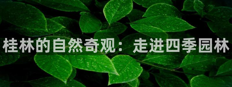 新宝gg娱乐官网