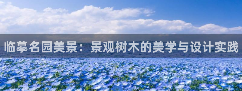 新宝gg指定平台