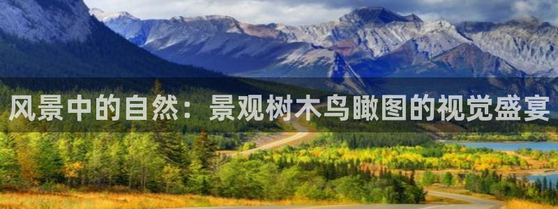 新宝GG官方域名