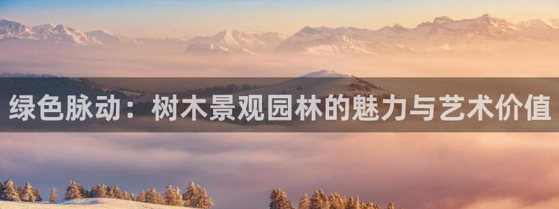 广东新宝电器gg