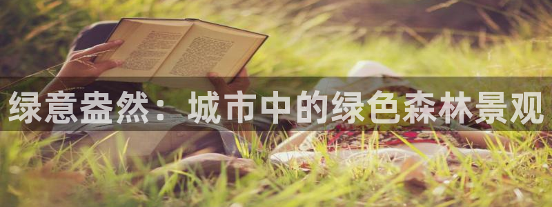 新宝gg创造奇迹 新宝gg