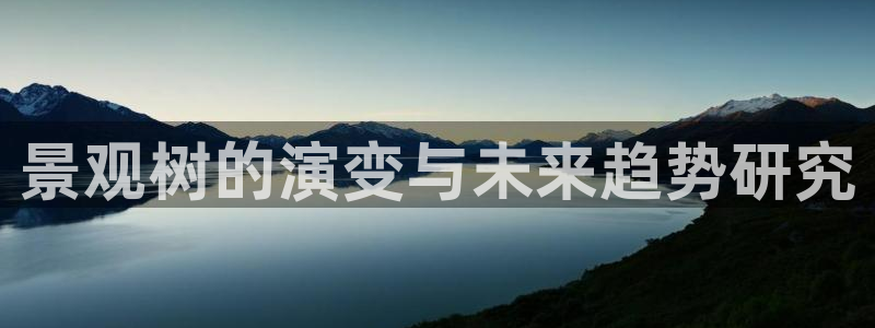 新宝gg平台q891465