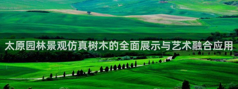 新宝gg客服电话