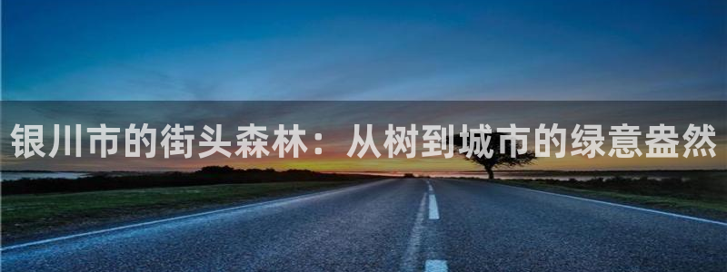 新宝gg怎么开户