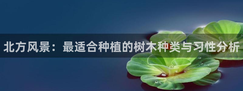 新宝GG娱乐下载