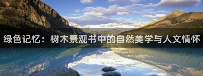 新宝gg开户流程