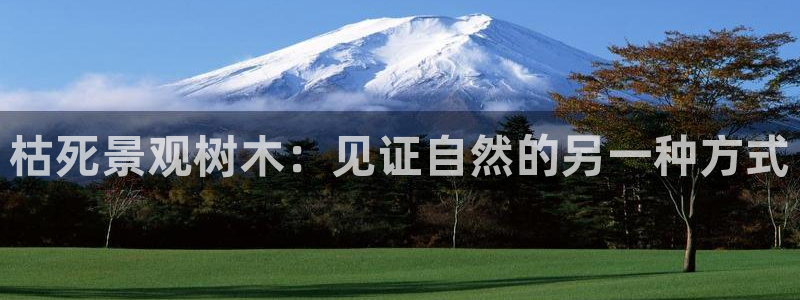 新宝gg怎样代理