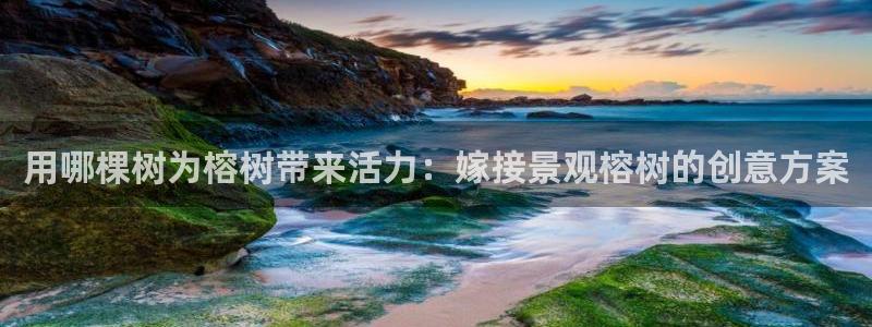 新宝gg找回账号