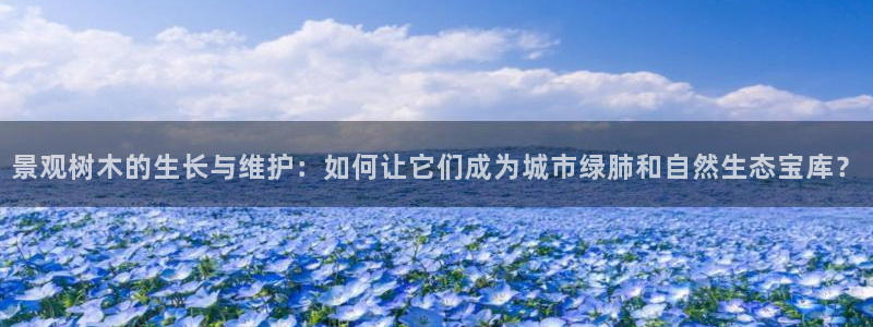 新宝gg娱乐平台