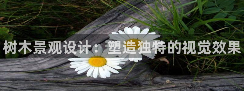 新宝gg招商