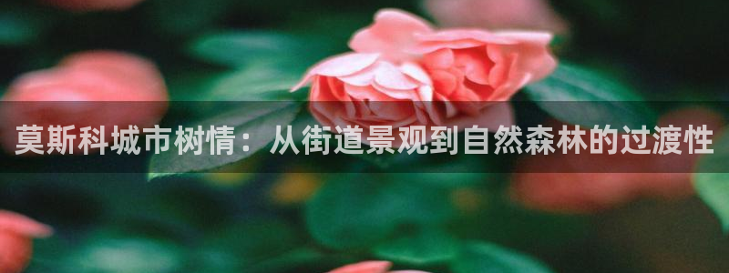 创造奇迹新宝gg