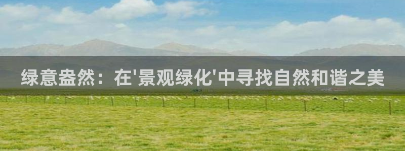 新宝gg娱乐盟主