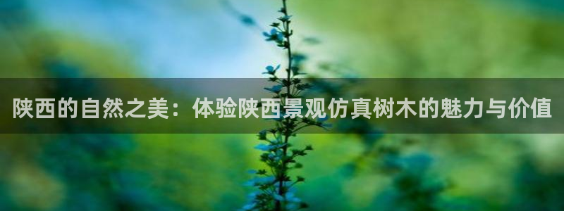 新宝gg网投