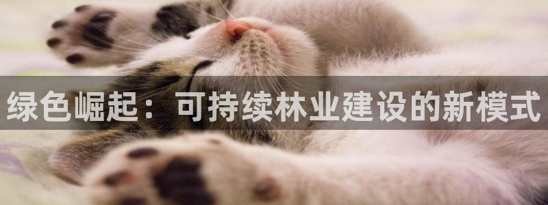 新宝gg博客