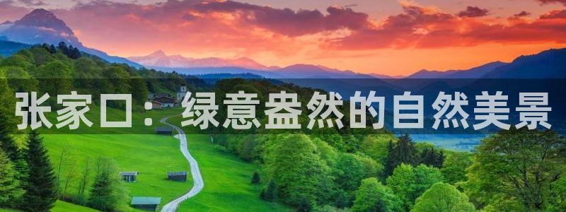 新宝gg线路