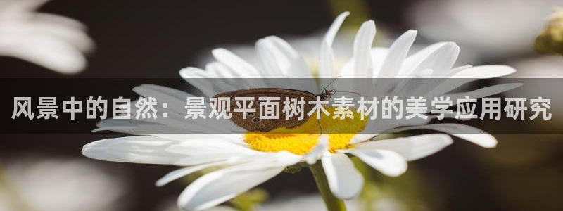 新宝gg软件