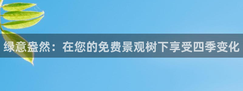 新宝gg平台下载安装