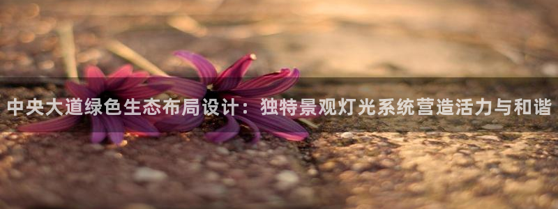 新宝 gg 登录