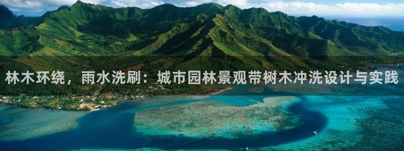 新宝gg挣钱