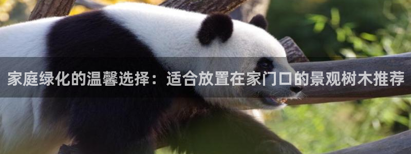 新宝gg 开户