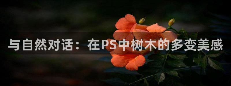 新宝gg招商致胜团队