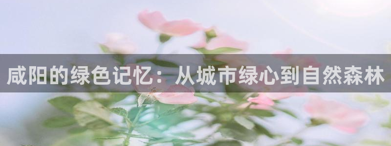 新宝gg找回账号