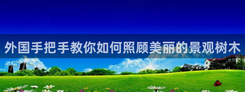 新宝GG 扣.772332