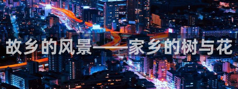 新宝gg开户