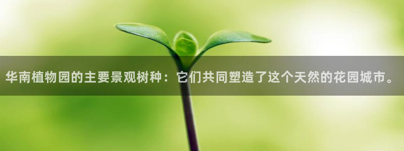 新宝GG挂机
