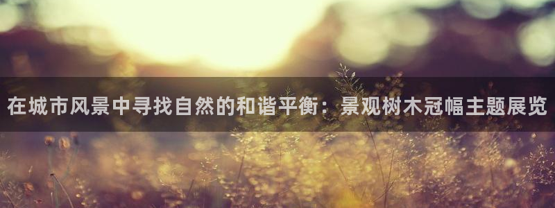 太阳gg和新宝gg