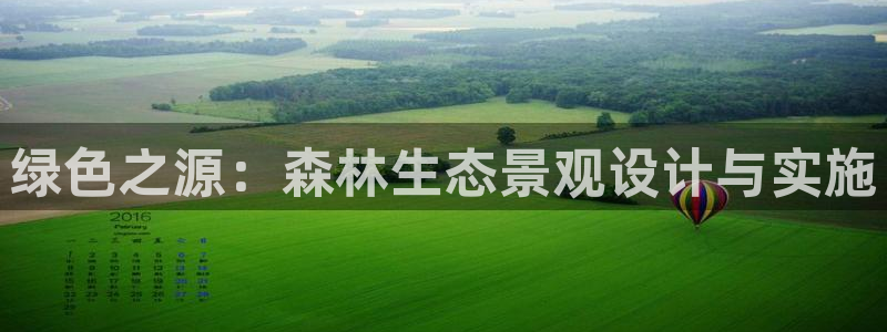 www.新宝gg
