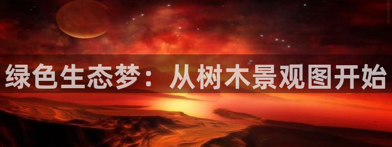 新宝gg合作