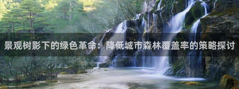 新宝gg—创造