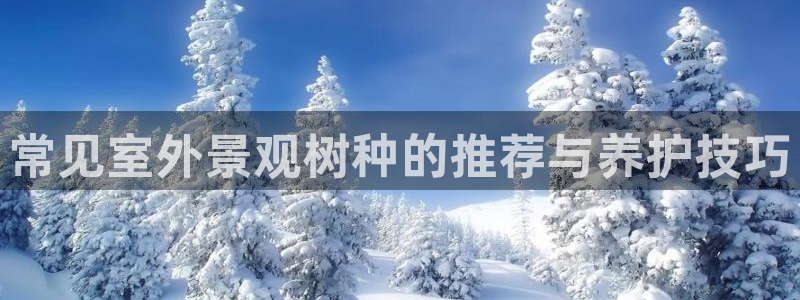 新宝GG娱乐下载