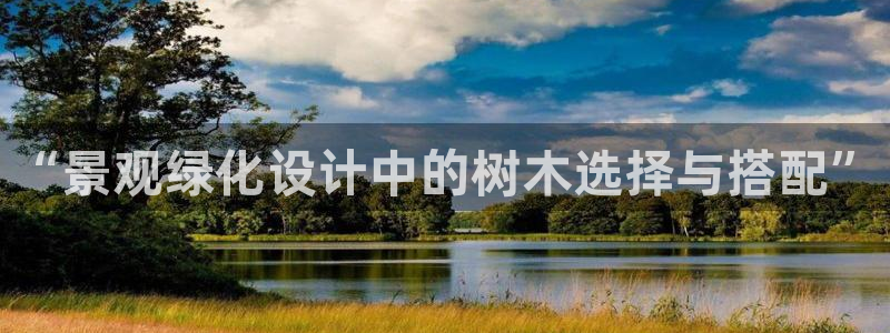 分分新宝gg
