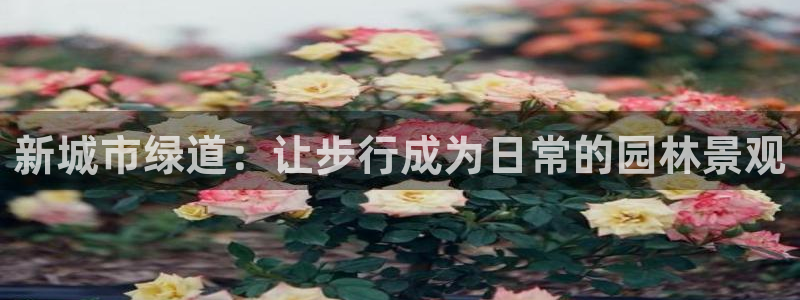新宝gg成立