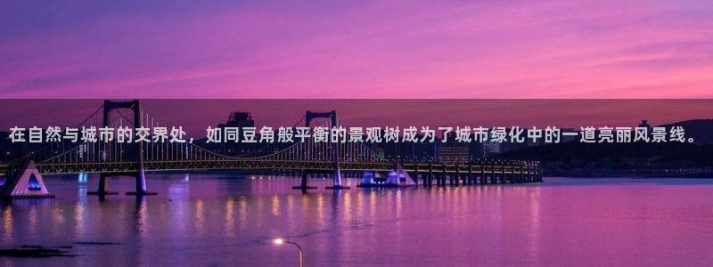 新宝gg登陆