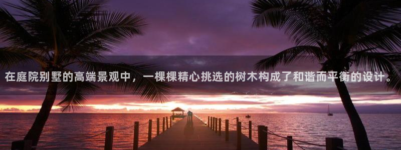新宝gg运营88383