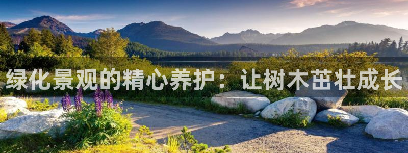 新宝GG亚洲