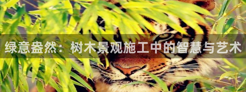 新宝gg创建奇迹