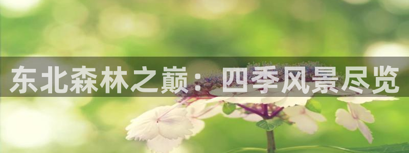 新宝GG网页：东北森林之巅：四季风景尽览