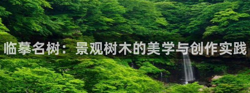 新宝gg注册q -26880：临摹名树：景观树木的美学与创作实践